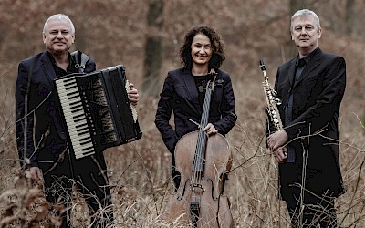 Das Trio Paier-Valcic-Preinfalk tritt am 24. Oktober beim Münsterladnd Festival part 11 in Sendenhorst auf.