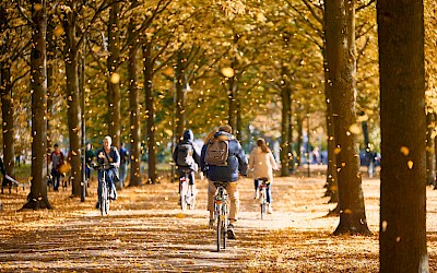 Nachhaltigkeit beim Münsterland Festival