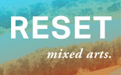 In Kooperation mit dem RESET e.V.