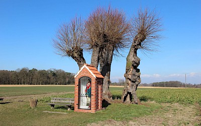 Beim Münsterland Festival part 13 gibt es eine Pilgerwanderung auf dem Jakobsweg.