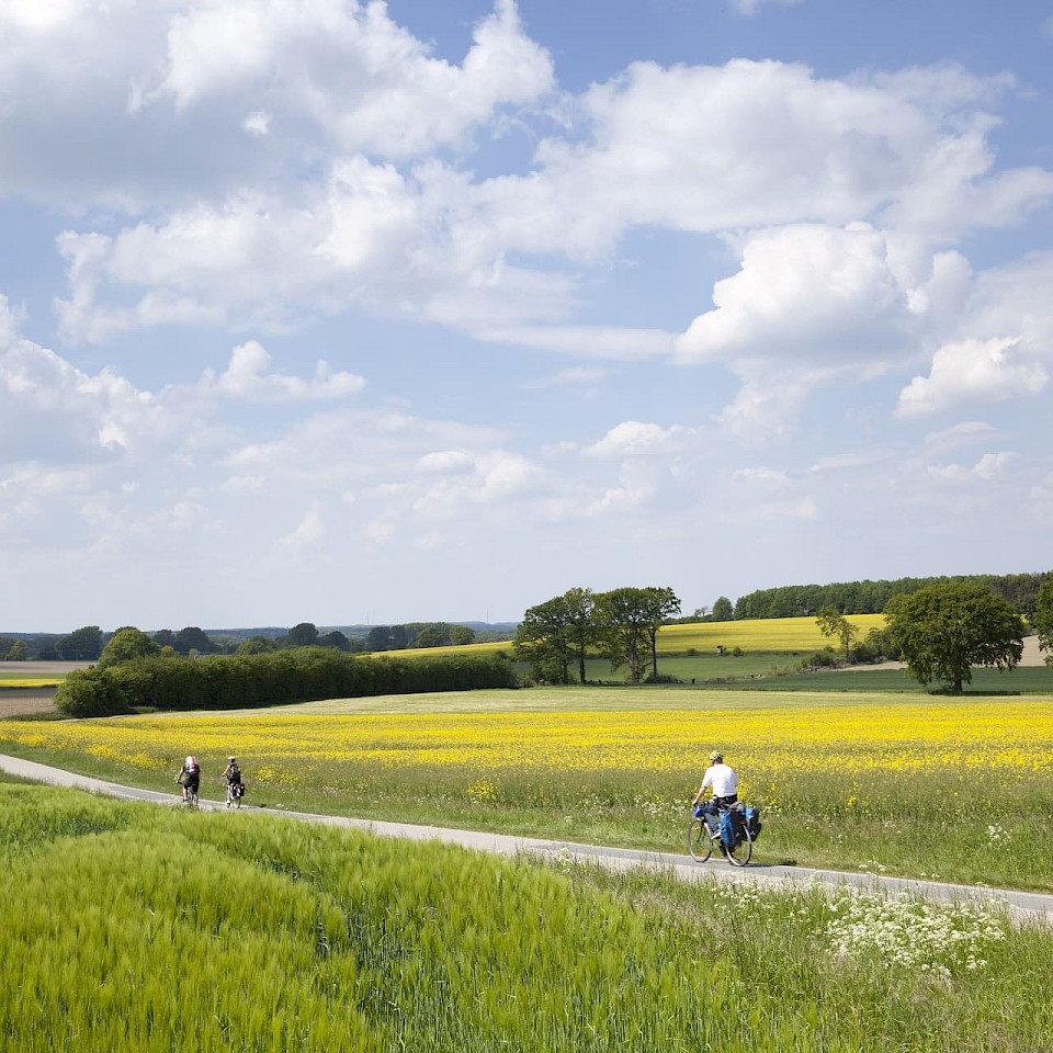 Cycling tours in the Münsterland