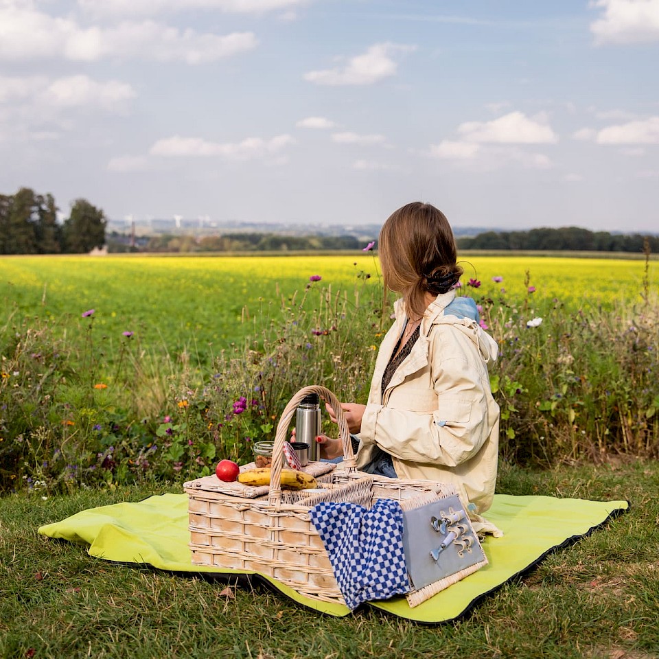 Picknick im Münsterland