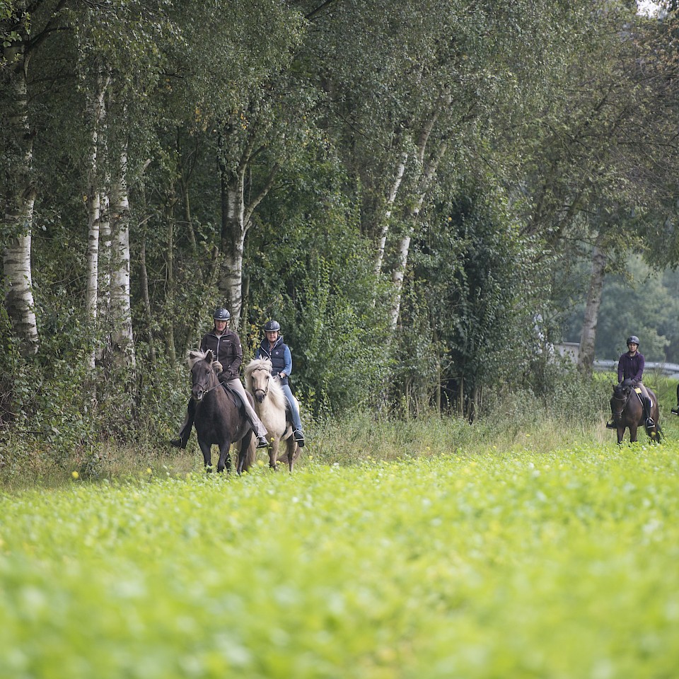 Paardrijden op de Münsterland ruiterroute