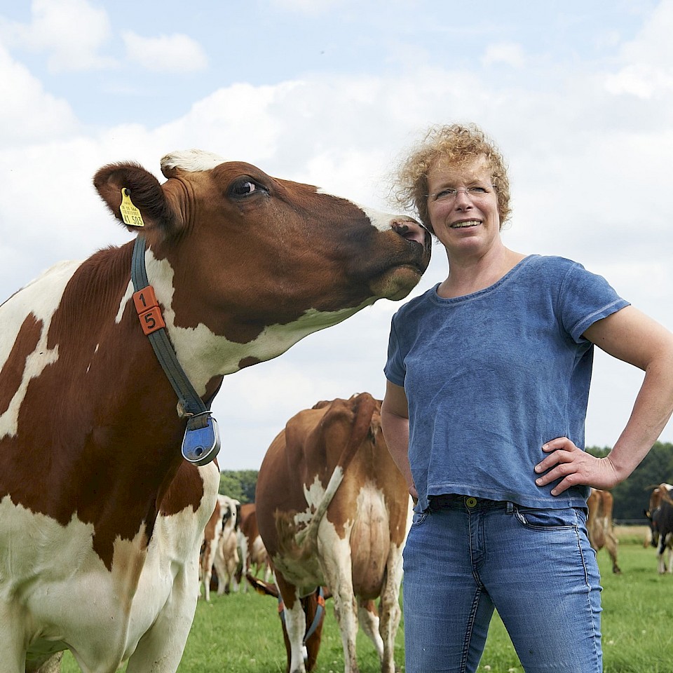 Birgit Schulte Bisping ist leidenschaftliche Käsemacherin und ausgesprochene Kuh-Liebhaberin.