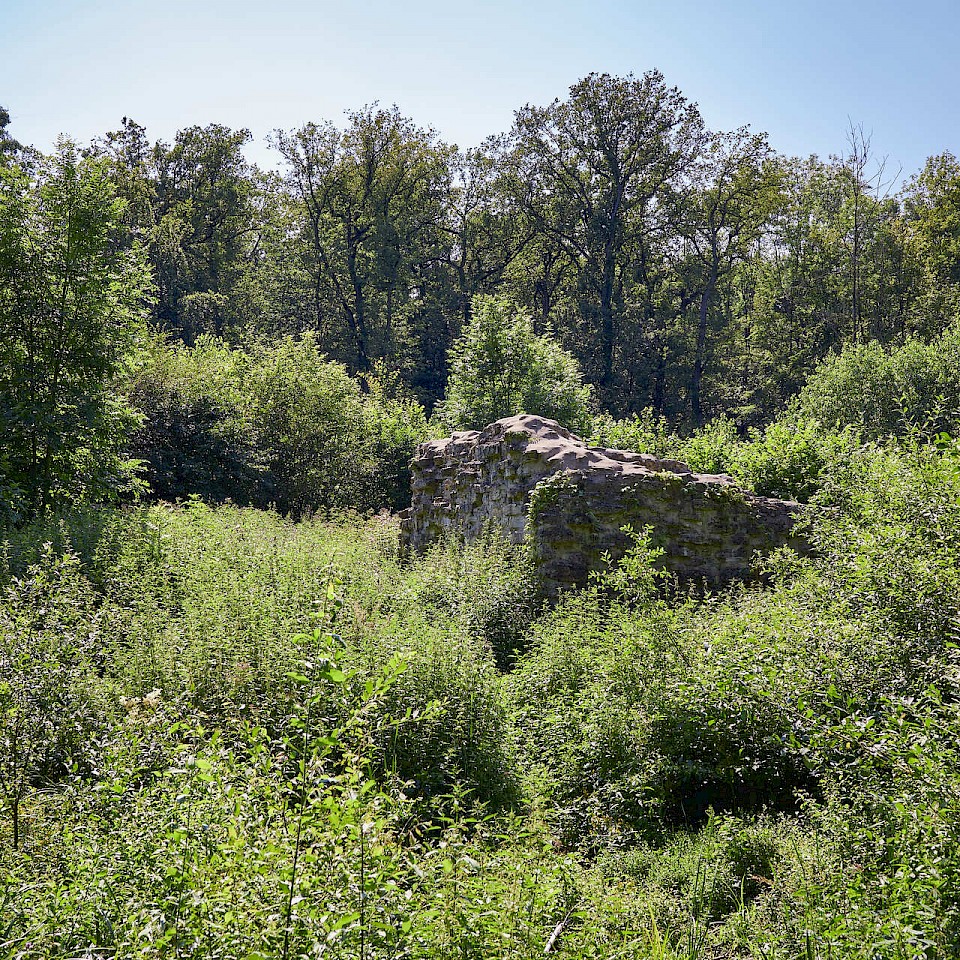 Nienburg Castle Ruin in Ennigerloh