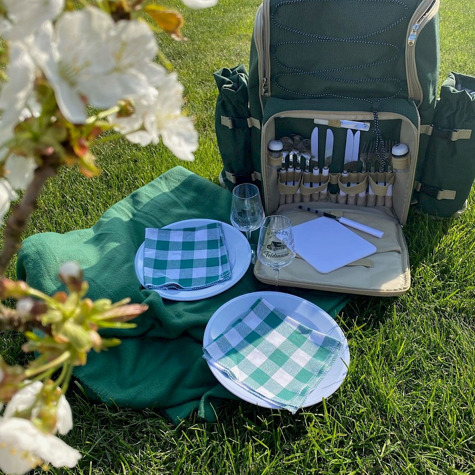 Feldmann's picknick rugzak