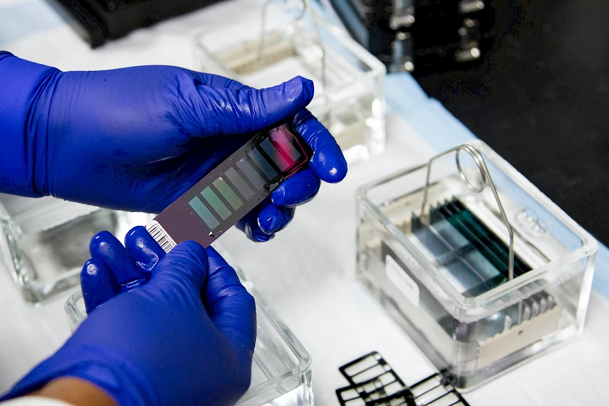 Testing of a lab-on-a-chip