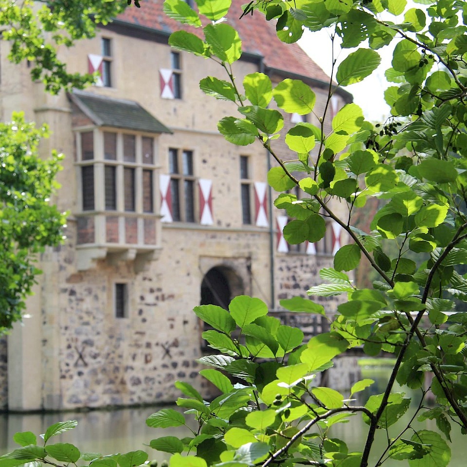 Blick durchs Grün auf die Burg Vischering