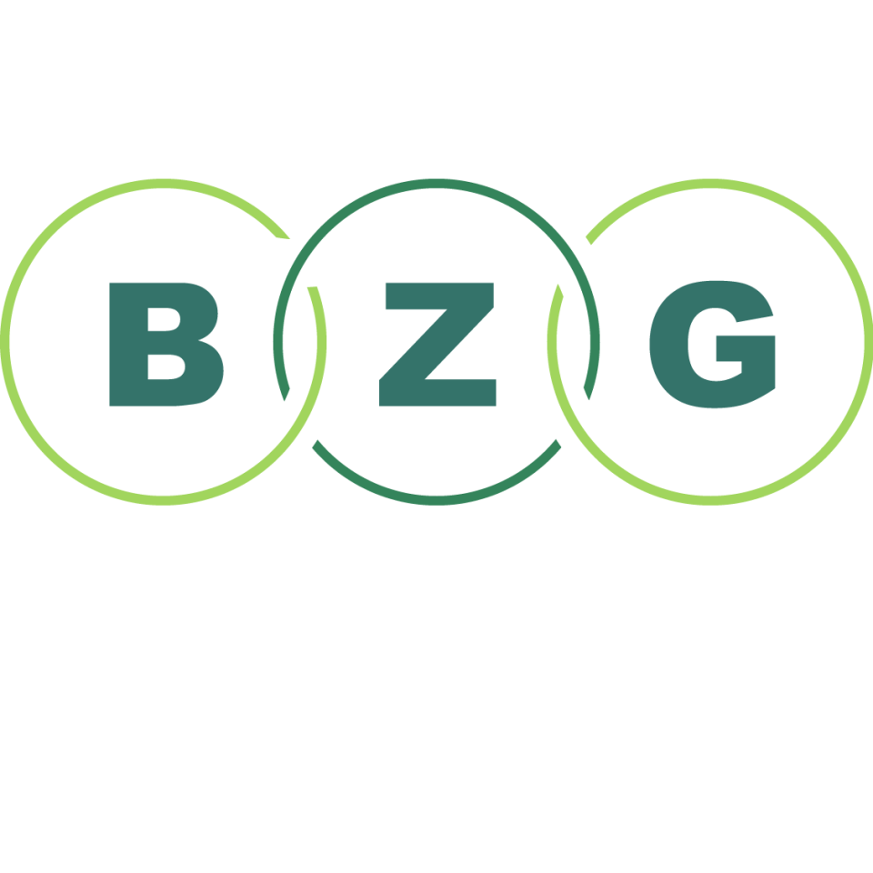 Logo van BZG & Partner mbB