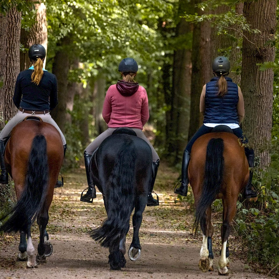 Paardrijden in het Steinfurter Land