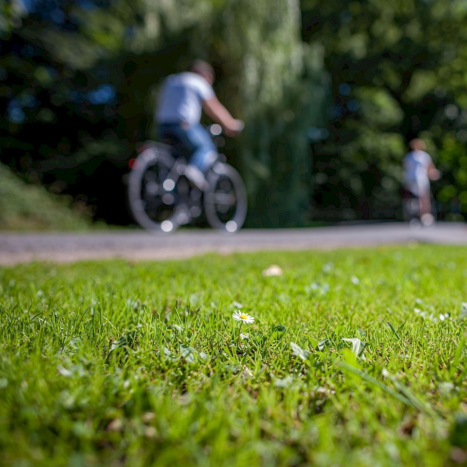 Radfahren rund um Münster