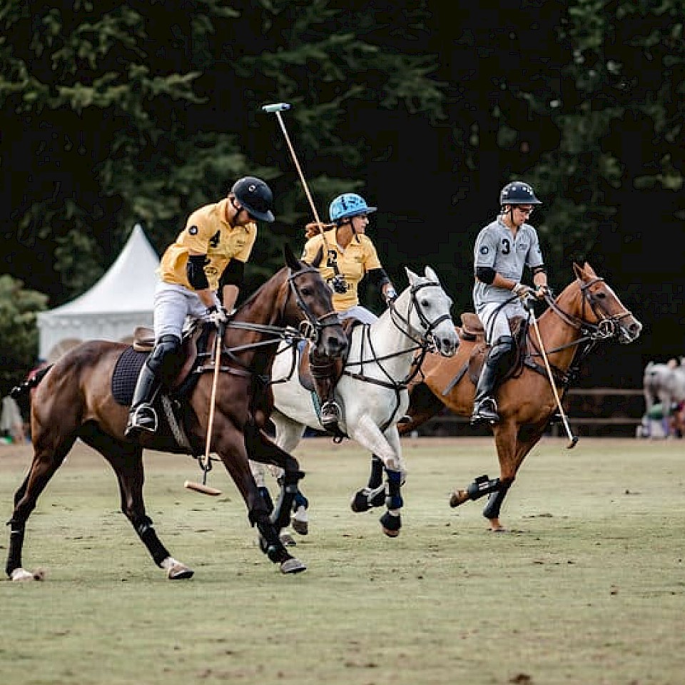 Polo Picnic Münster